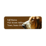 Basset Hound Return Address Label