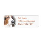Basset Hound Return Address Label