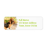Basset Hound Sitting Mailing Labels
