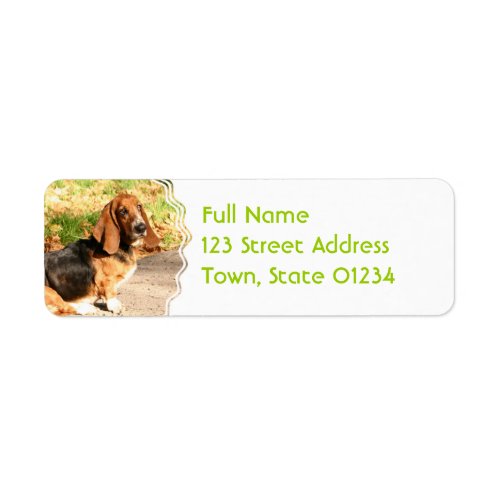 Basset Hound Sitting Mailing Labels