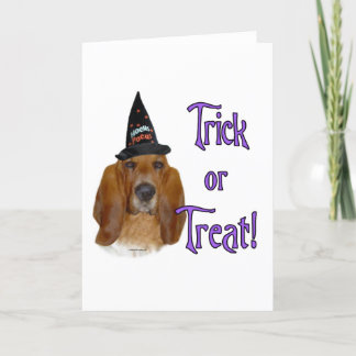 Basset Hound Trick Card