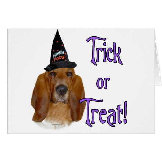 Basset Hound Trick Cards (Front Horizontal)