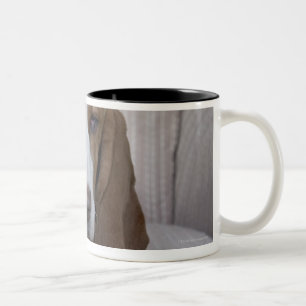 Basset Hound Two-Tone Coffee Mug