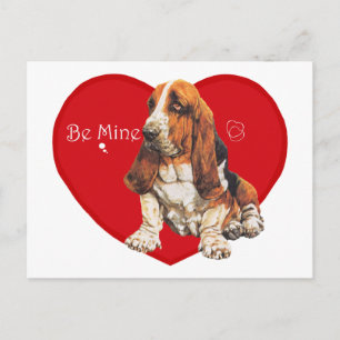 Basset Hound Valentine Holiday Postcard