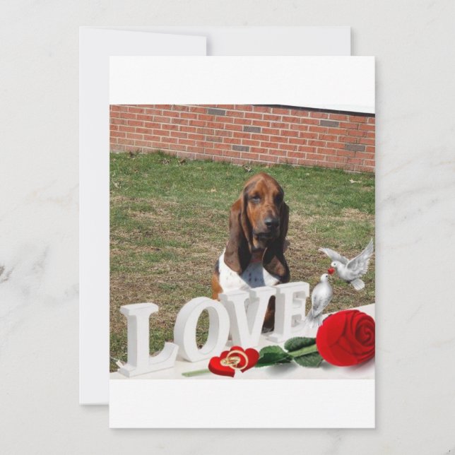 Basset hound valentines day card (Front)