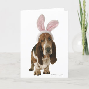 Basset hound with bunny ears card
