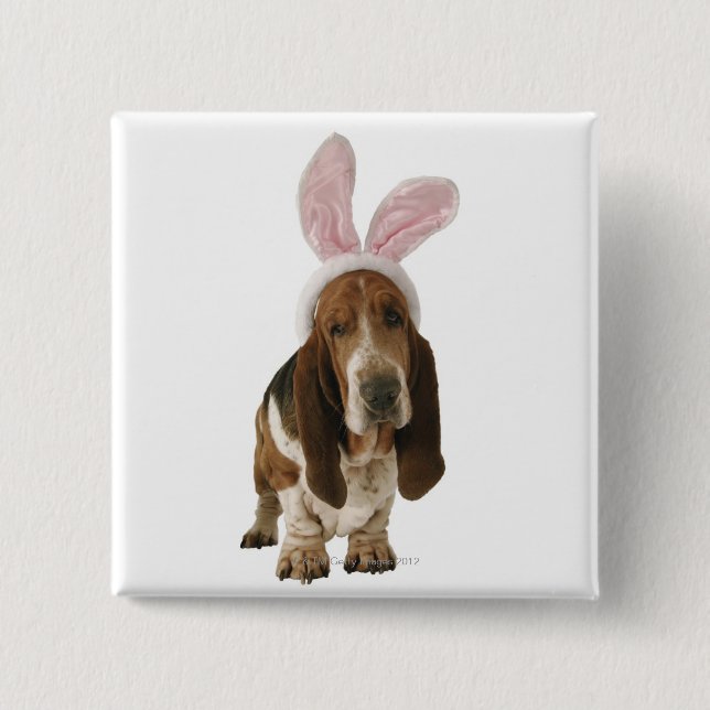 Basset hound with bunny ears pinback button (Front)