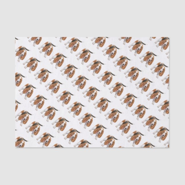Basset Hound with Candy Cane Tissue Paper (Front)