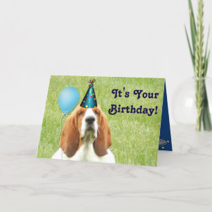 Basset Hound with party hat Birthday card