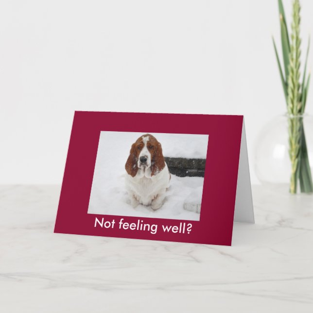 Basset Hound with sad face funny get well card (Front)