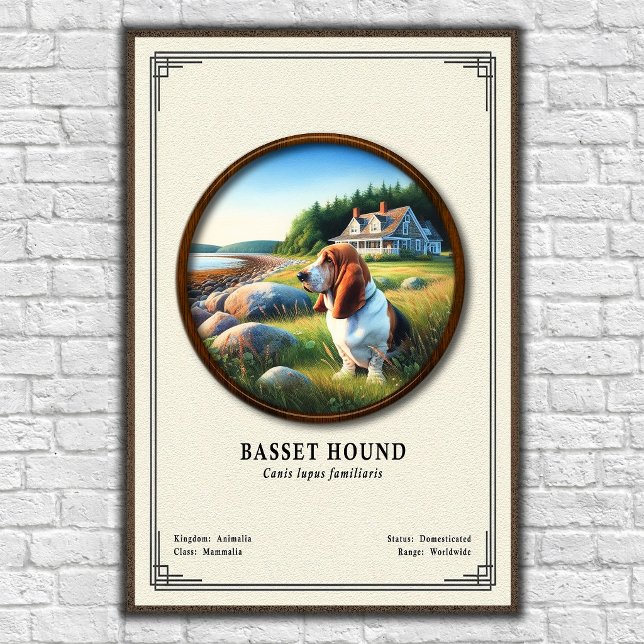 Basset Hound Zoology Series Poster (Creator Uploaded)