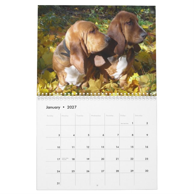 Basset Hounds 2012 Calendar (Jan 2027)