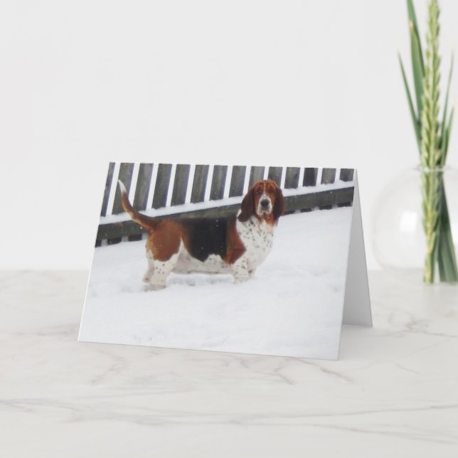 "Basset Hounds in the Wild" series greeting card (Front)