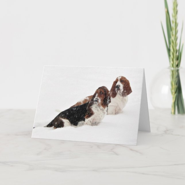 "Basset Hounds in the Wild" series greeting cards (Front)
