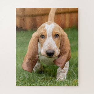 Basset Houng Puppy Walking Jigsaw Puzzle