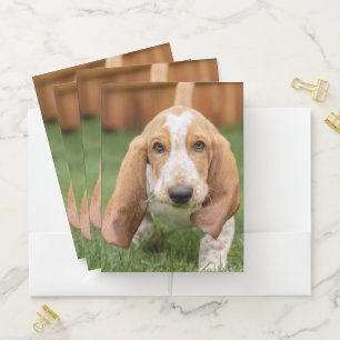 Basset Houng Puppy Walking Pocket Folder