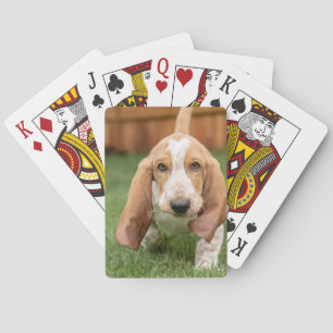 Basset Houng Puppy Walking Poker Cards