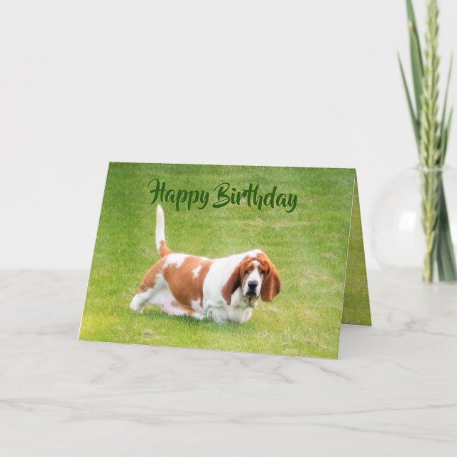 Basset & Lunch On Funny Birthday Card (Front)