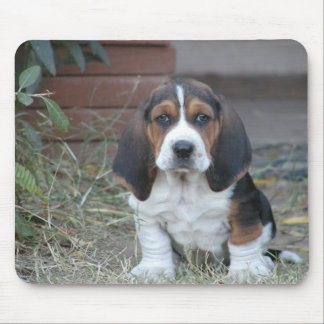 Basset Puppy Mouse Pad