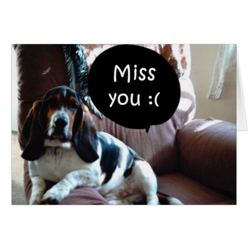 BASSETHOUND MISSES YOU_EVERYTHING ABOUT YOU