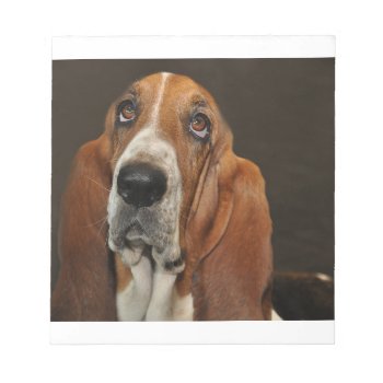 Bassett Hound 2 Notepad by BreakoutTees at Zazzle