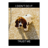 Bassett Hound Cards (Front)