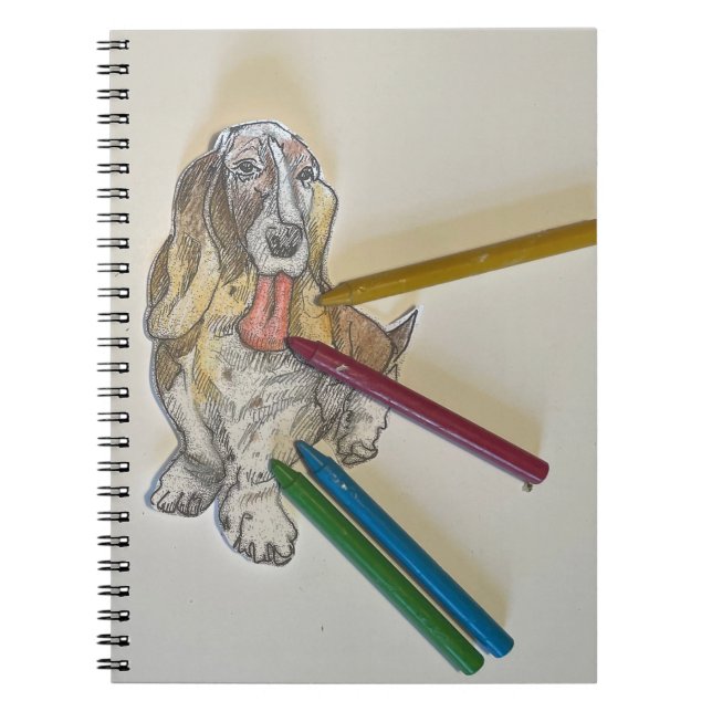 Bassie Journal (Front)