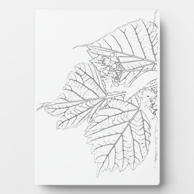 Basswood Leaves Plaque (Front)