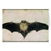 Bat, 1522 (Front Horizontal)