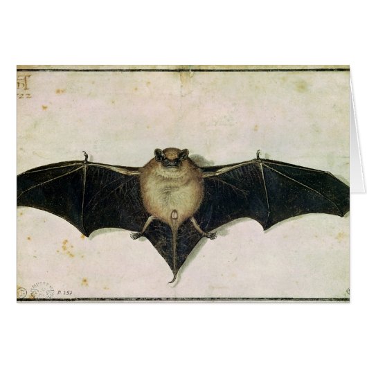 Bat, 1522 (Front Horizontal)