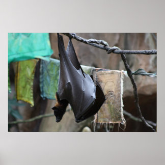 Bat (6) - poster / print