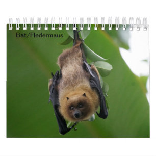 Bat/bat Calendar