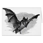 Bat Card (Front Horizontal)