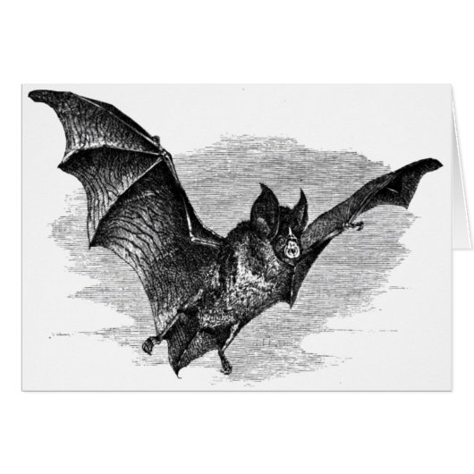 Bat Card (Front Horizontal)