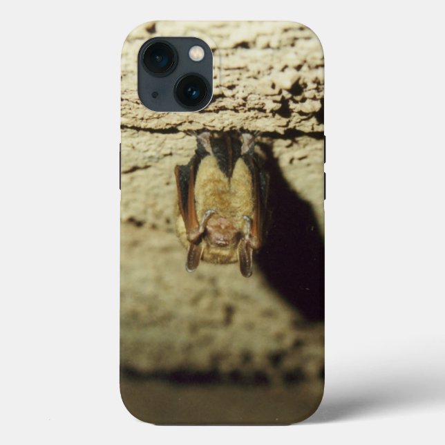 Bat Case-Mate iPhone Case (Back)