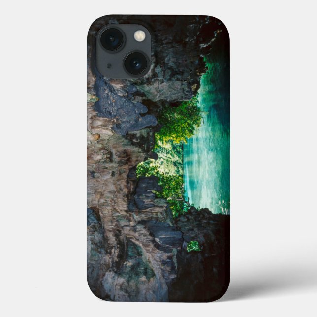 Bat Cave In Airai, Palau, Micronesia Case-Mate iPhone Case (Back)