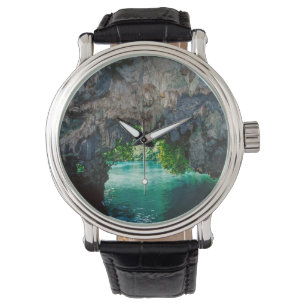 Bat Cave In Airai, Palau, Micronesia Watch