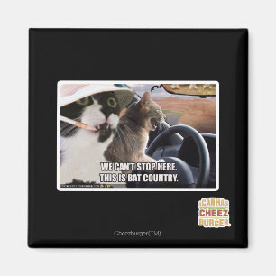 Bat country magnet