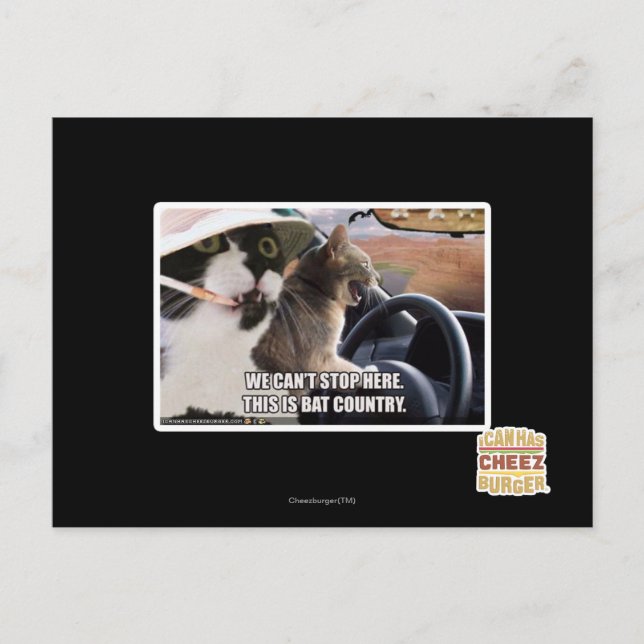 Bat country postcard (Front)