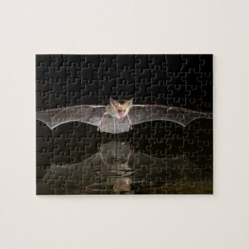 Bat drinking in flight Arizona Jigsaw Puzzle