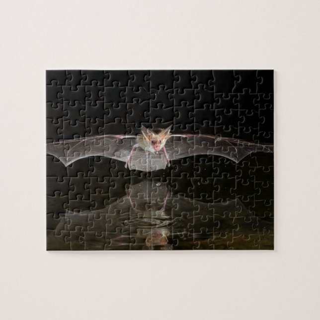 Bat drinking in flight, Arizona Jigsaw Puzzle (Horizontal)