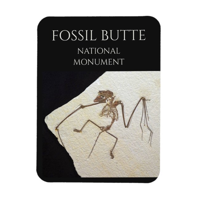 Bat Fossil, Fossil Butte National Monument Magnet (Vertical)