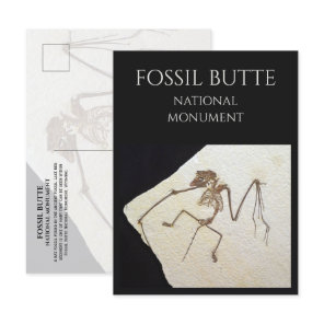 Bat Fossil, from Fossil Lake, Fossil Butte, WY Postcard