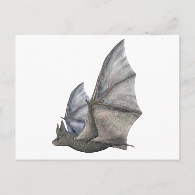 Bat In Side Profile with Wings in Upstroke Postcard (Front)