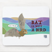 Bat is not a bird