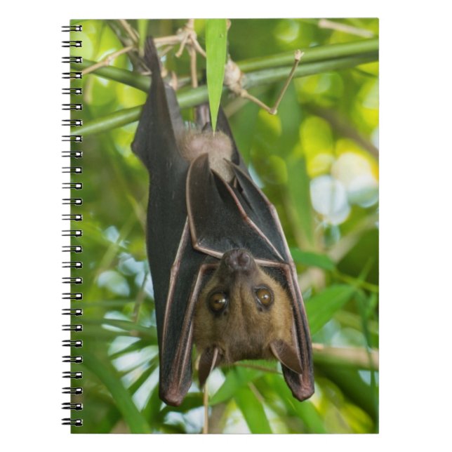 Bat Notebook (Front)