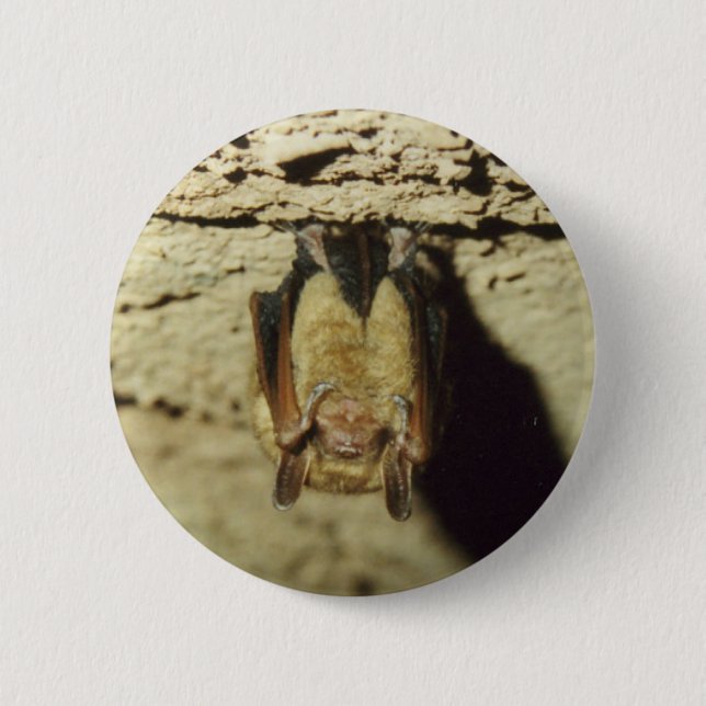 Bat Pinback Button (Front)