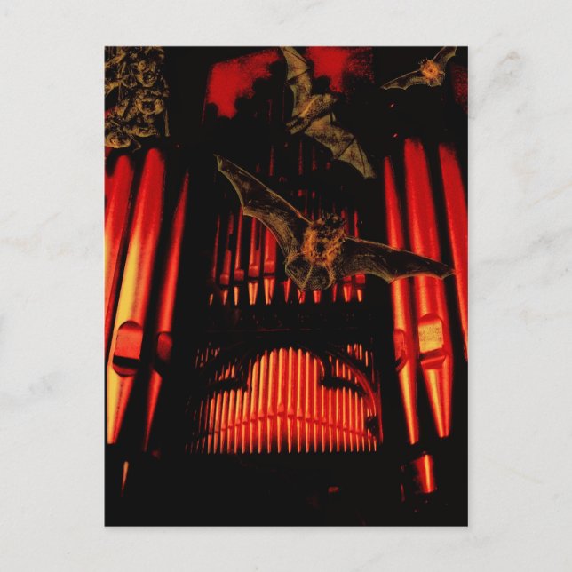 Bat´s Postcard (Front)