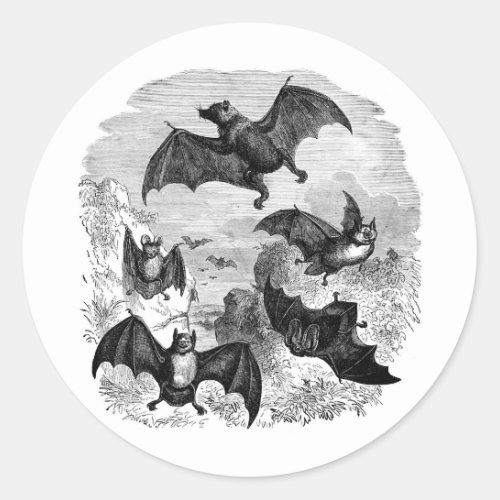 Bat Sketch Classic Round Sticker