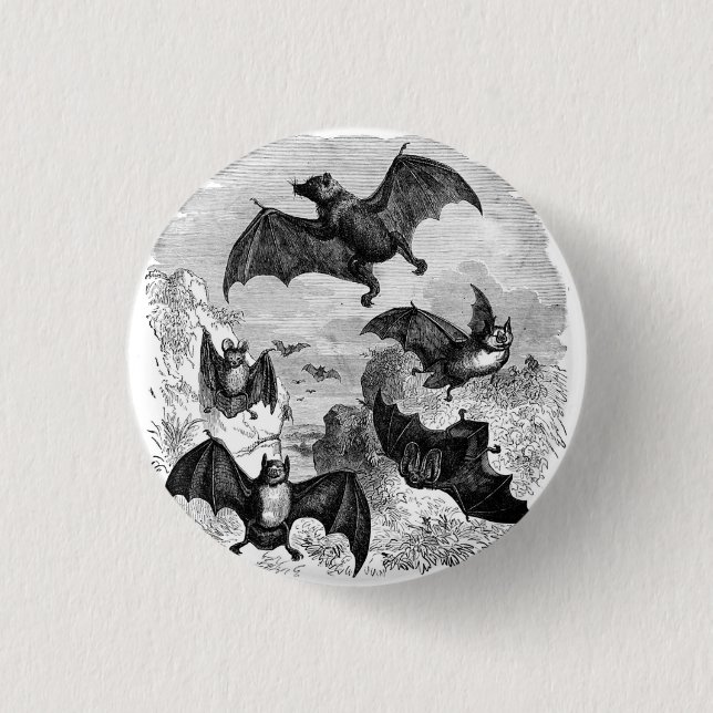 Bat Sketch Pinback Button (Front)